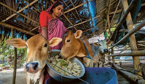 Policy Recommendations (2024)